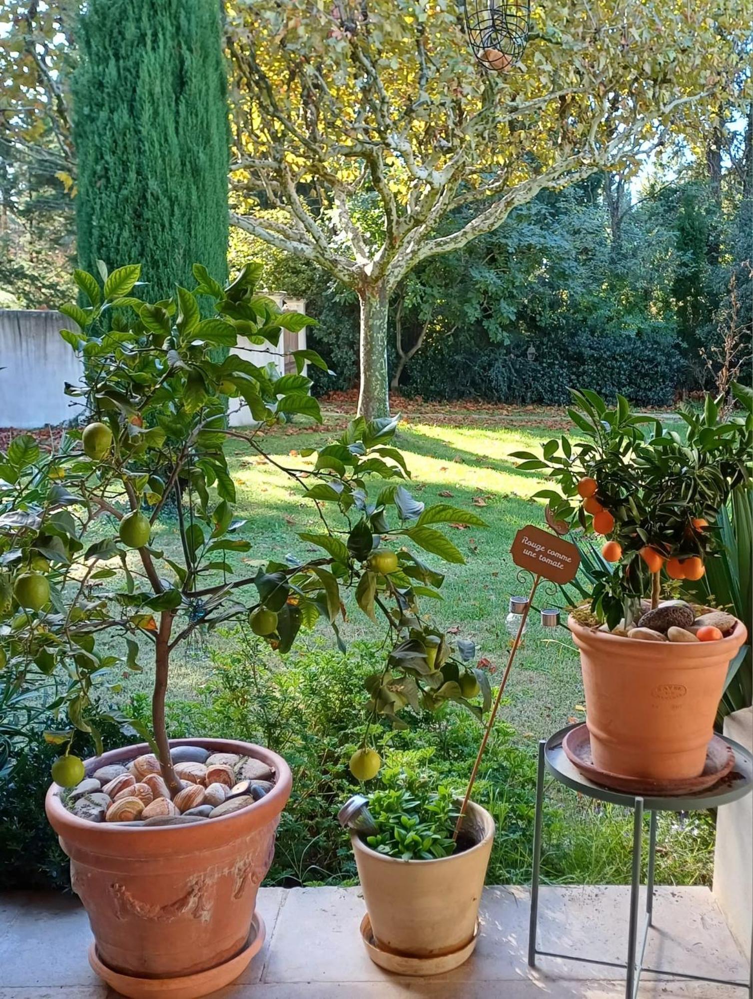 La Goutadou Bed & Breakfast Cabannes Exterior photo